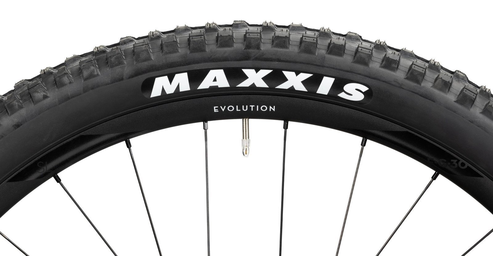 Radon Render 10.0 HD 750 MS – Bild 5