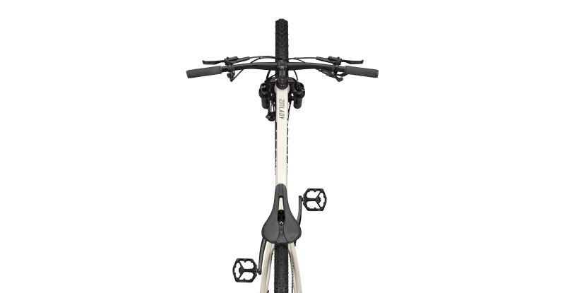 Radon ZR LADY 8.0 – Bild 6