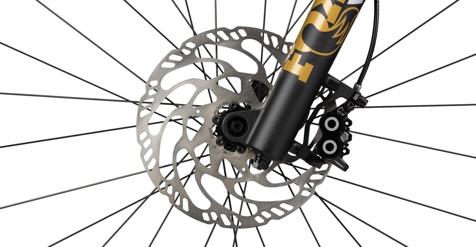 Radon RENDER 10.0 750 – Bild 6