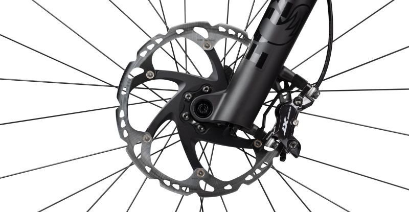 Radon SWOOP 10.0 – Bild 8