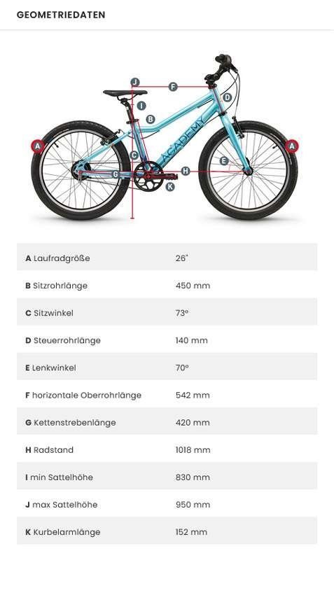 ACADEMY Grade 6 Belt Kinderfahrrad – Bild 6