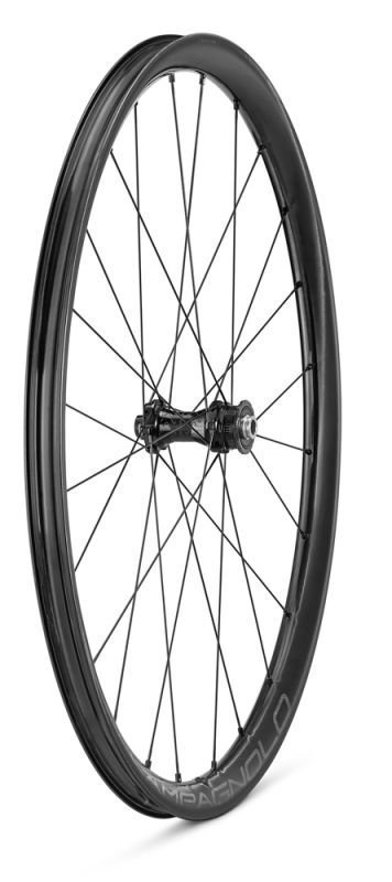 Campagnolo Levante 700C DB 2WF Vorderrad – Bild 4