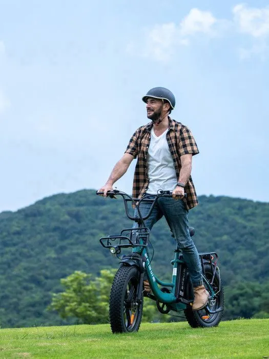 Engwe L20 SE 250W 20" – Bild 14